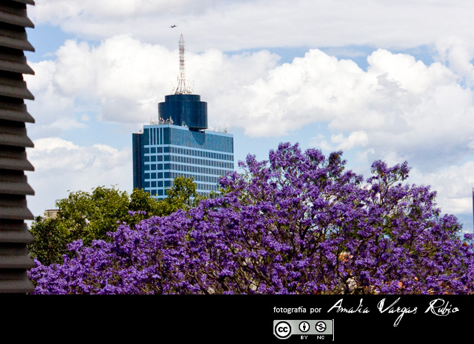como crear fotos
