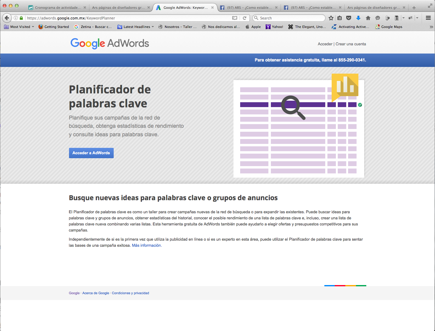como crear pagina web profesional SEO